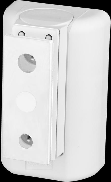 Actual product image Cavus CMBPFW - Bluesound (1 pcs., Wall installation, Rotatable, Tiltable)