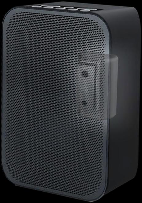 Immagine prodotto Cavus CMBPFW - Bluesound (1 pz., Installazione a parete, Rotante, Inclinabile)