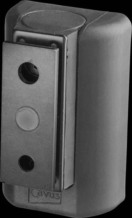 Immagine prodotto Cavus CMBPFW - Bluesound (1 pz., Installazione a parete, Rotante, Inclinabile)