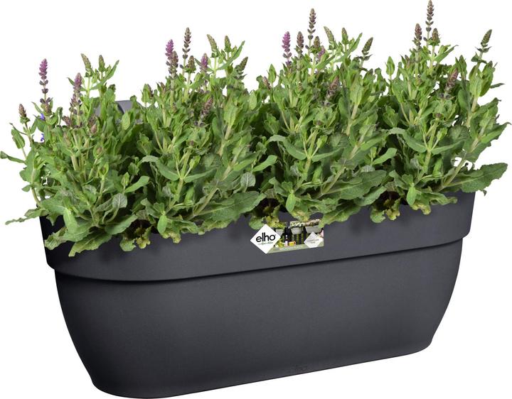Produktbild Elho Vibia Campana Easy (46 cm)