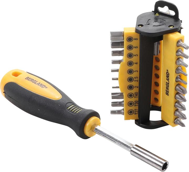 Actual product image BGS Screwdriver Bit Set 31 pcs. (External hexagon)
