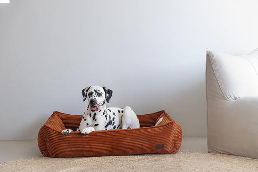 Produktbild Designed by Lotte Ribbed (Hund)