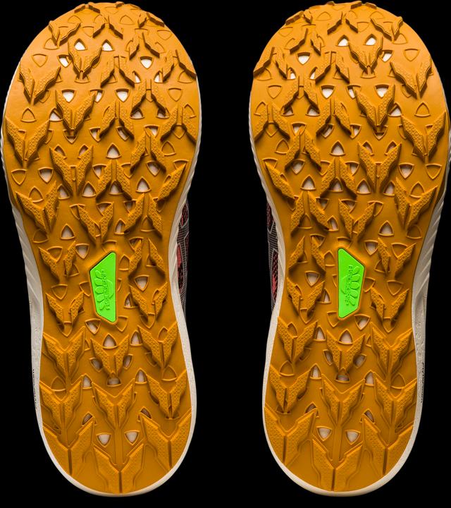 Image du produit ASICS Performance Fuji Lite 3 1012B294-700 - 38 (38)