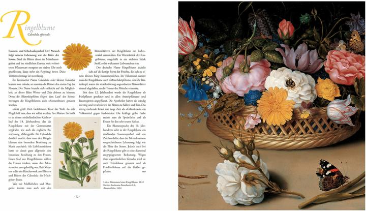 Produktbild Die Sprache der Blumen. Pflanzen und ihre symbolische Bedeutung (Deutsch, Marina Heilmeyer, 2024)