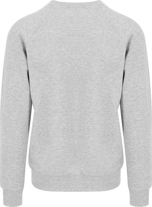 Image du produit Awdis - Sweat GRADUATE - Homme (XL)