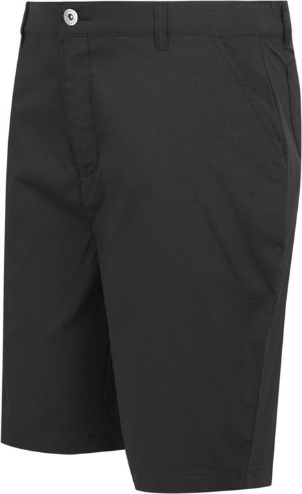 Actual product image Regatta Mens Dalry Multi Pocket Shorts (40)