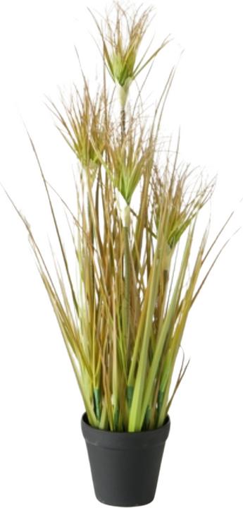 Immagine prodotto Boltze Home Boltze erba cipolla in vaso 60 cm