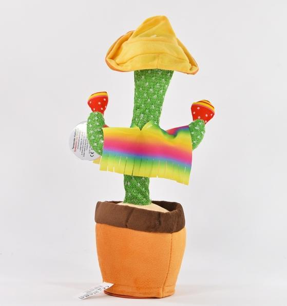Immagine prodotto Kögler Cactus danzante (32 cm)