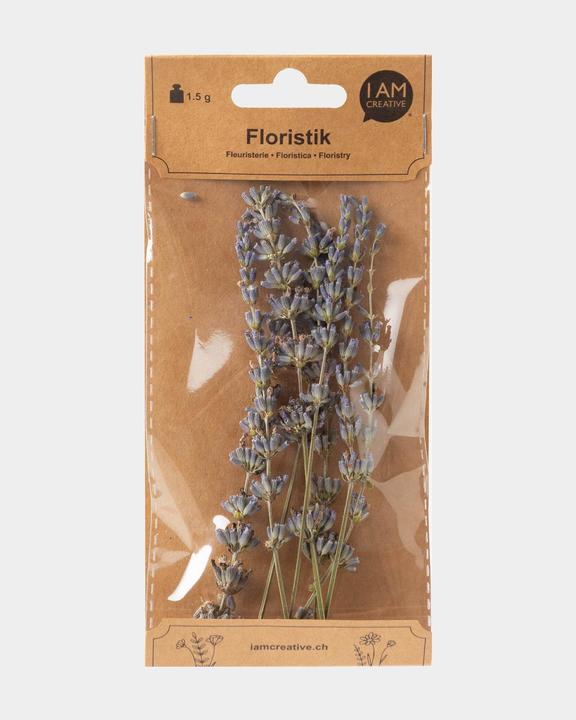 Actual product image I Am Creative Dried flowers lavender (Dried flowers)