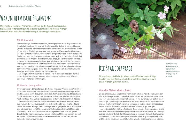 Produktbild Heimische Pflanzen für den Garten (Deutsch, Elke Schwarzer, 2022)