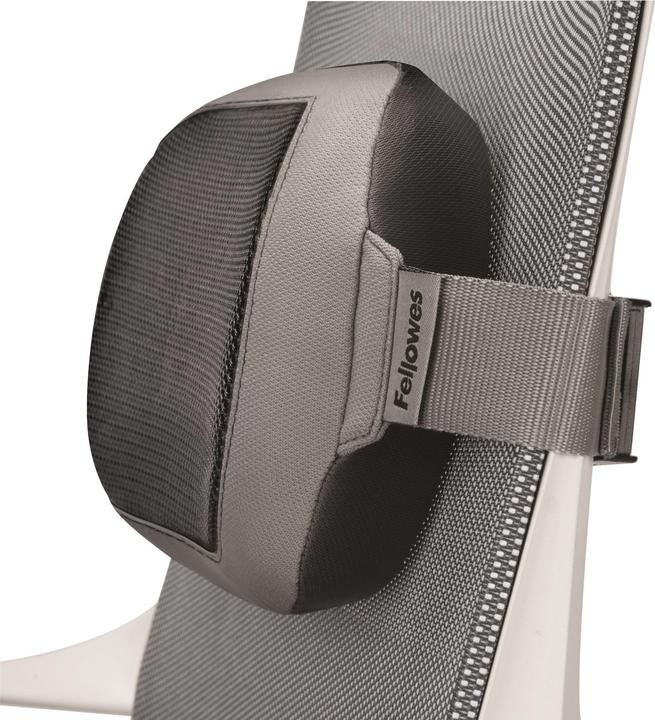 Produktbild Fellowes Lendenkissen (35 x 6 x 16 cm)