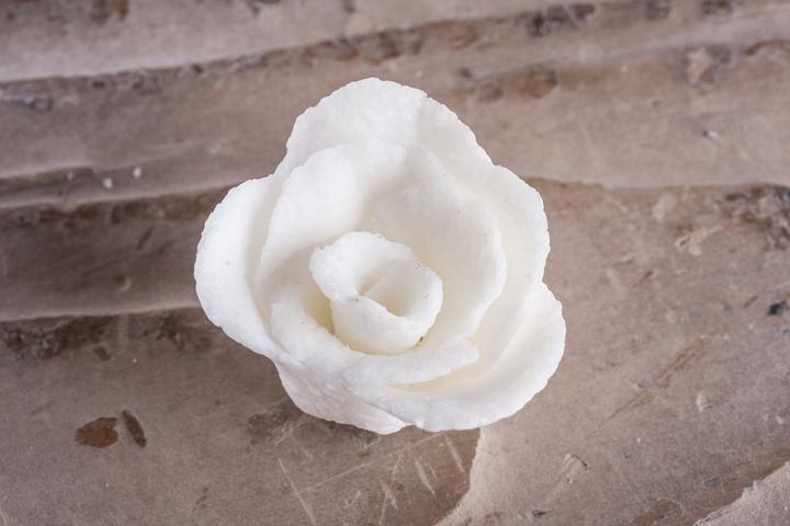 Image du produit Rayher Savon à modeler, boîte de 250g (Savon dur)