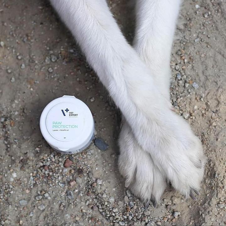 Actual product image Vet Expert Pfotenpflege (Dog, Cat, 75 ml)