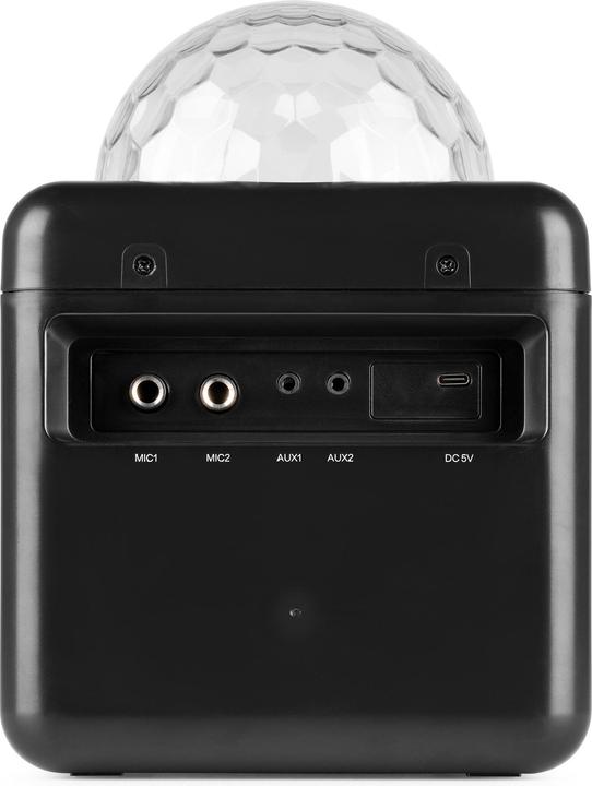Immagine prodotto Fenton Altoparlante KAR15B con 2 microfoni (1x 15 W)