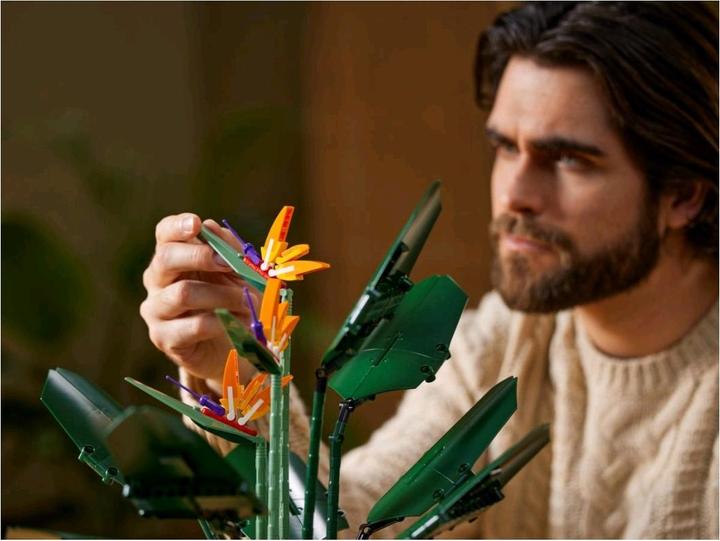Produktbild LEGO Bird of Paradise (10289, LEGO Seltene Sets)