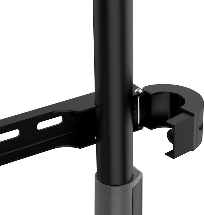 Immagine prodotto InLine woodstand Supporto TV Studio, per TV LED 49"-70" (124-178cm), max 40kg (70", 40 kg)