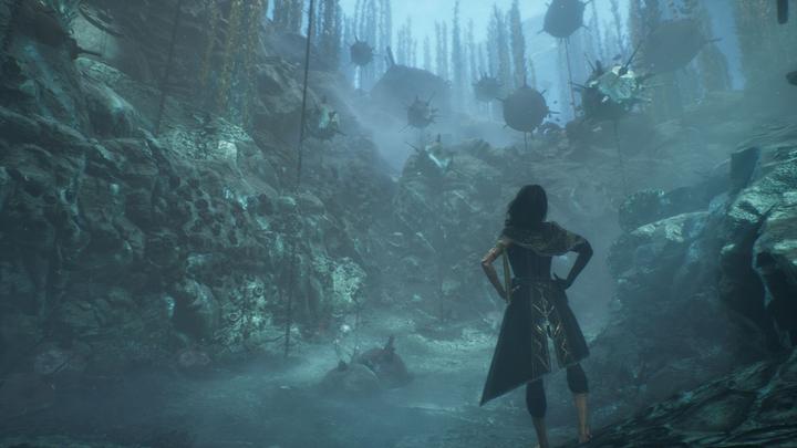 Image du produit Bandai Namco Clair Obscur: Expedition 33 (PS5, DE)