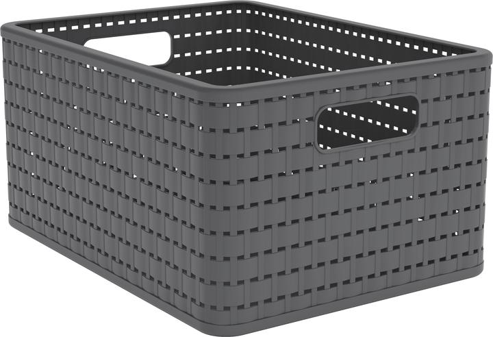 Immagine prodotto Rotho Paese (1 x, 37 x 28 x 19 cm)