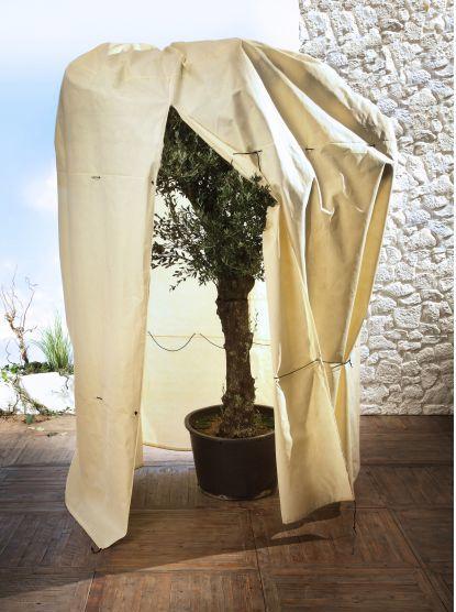 Actual product image Bio Green Mammoth