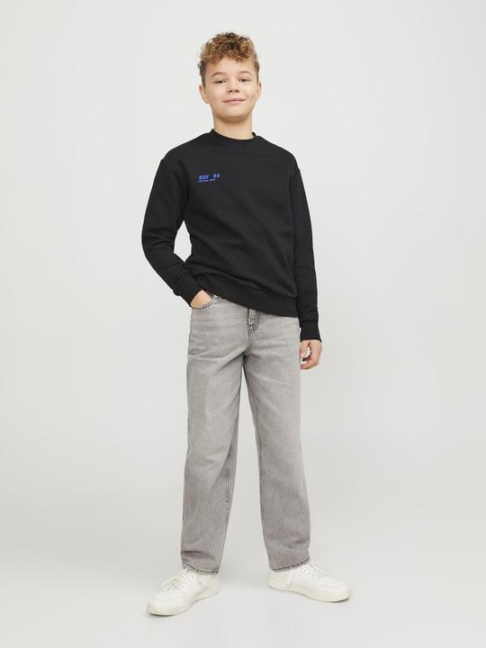 Image du produit Jack & Jones Jorcollect Edt Loose Sweat Crew Jnr (140)