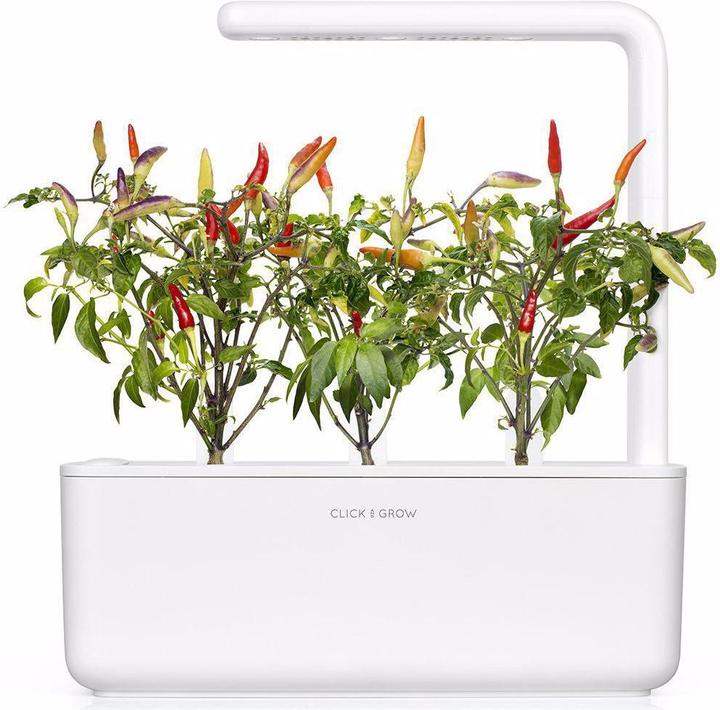 Immagine prodotto Click and Grow Semi Peperoncino rosso (Semi di verdura)