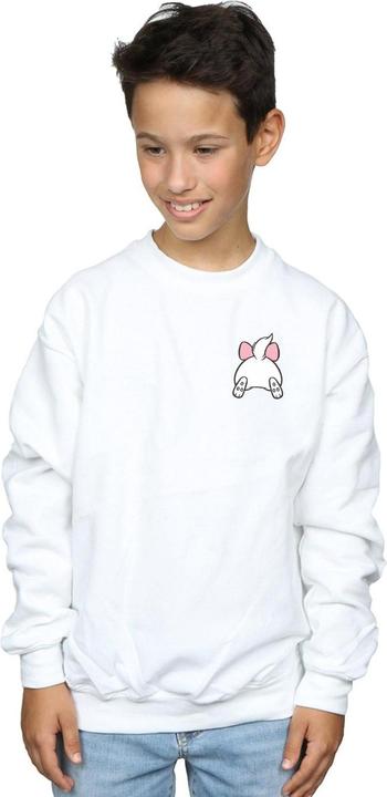 Actual product image Disney Boys Aristocats Marie Backside Breast Print Sweatshirt (140, 146)