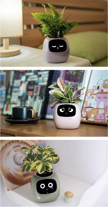 Actual product image Plantsio Ivy Smart Planter