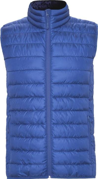 Bleu vif