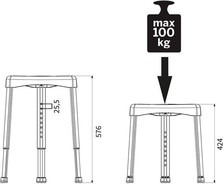 Immagine prodotto Tiger Bilancia (100 kg)