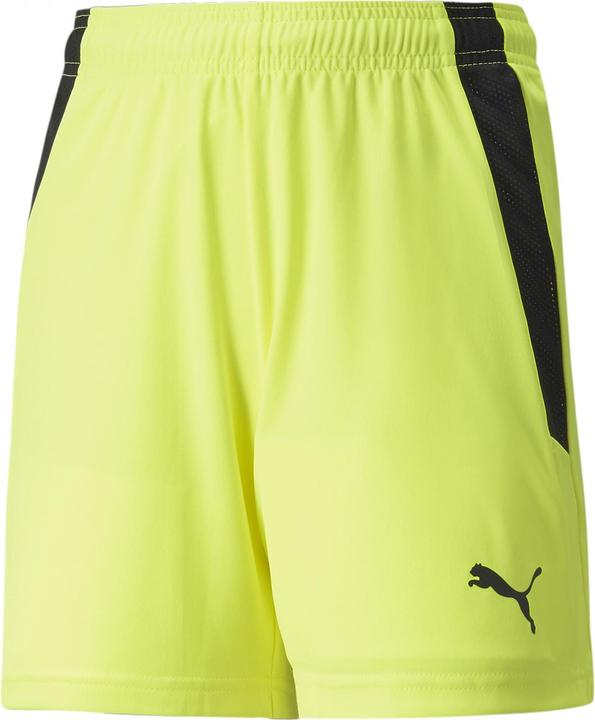 Image du produit Puma short teamLIGA Jr-704931 (176)