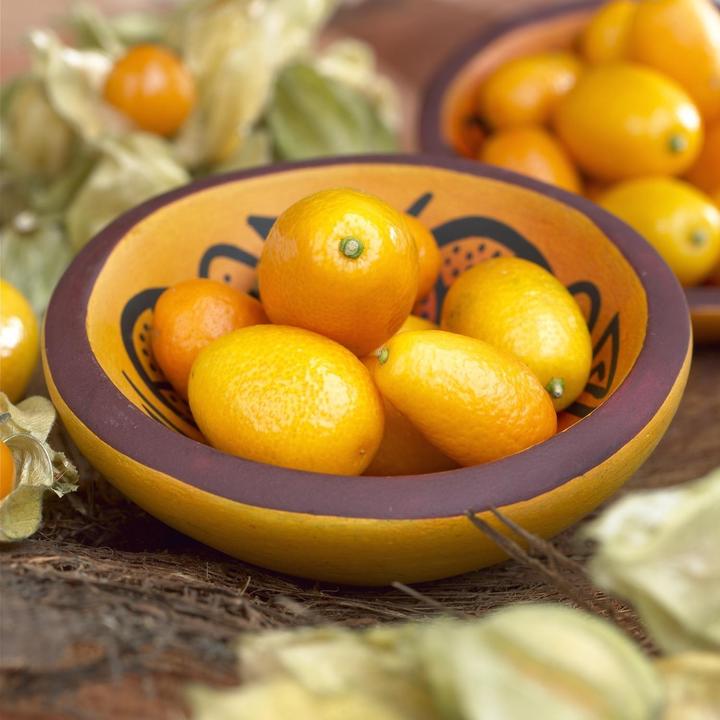 Produktbild Kumquat (65 cm)