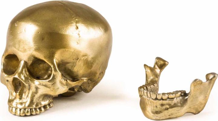 Produktbild Diesel Living with Seletti Human Skull Culture Skulture - Wunderkammer Skulptur