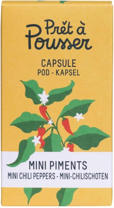 Actual product image Prêt à Pousser Mini Chili (Vegetable seeds)