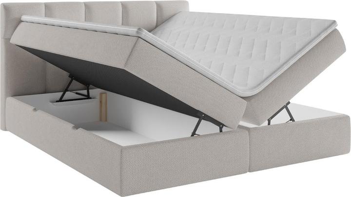 Actual product image Livetastic Lorie (180 x 200 cm)