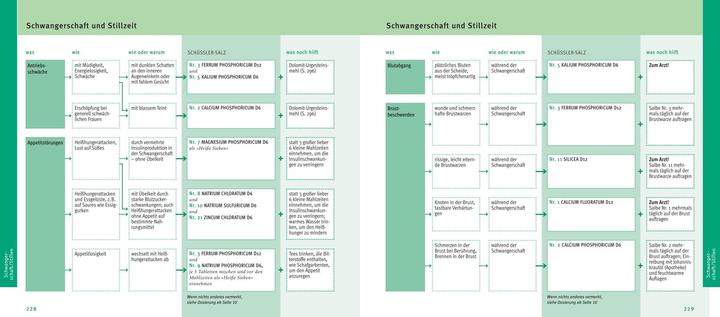 Immagine prodotto Maxi-Quickfinder Schüssler-Salze (Tedesco, Guenther H. Heepen, 2015)