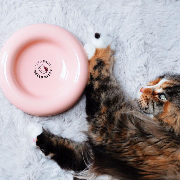 Produktbild LucyBalu DROP Katzennapf - Hello Kitty Edition