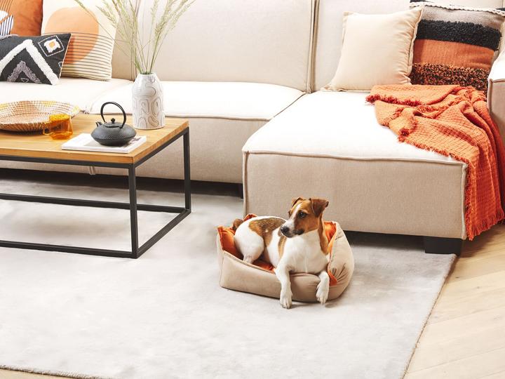 Actual product image Beliani Izmir (Dog, Cat)