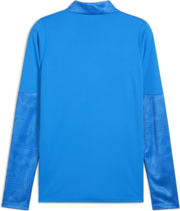 Actual product image Puma teamCUP Training 1/4 Zip Top (L)