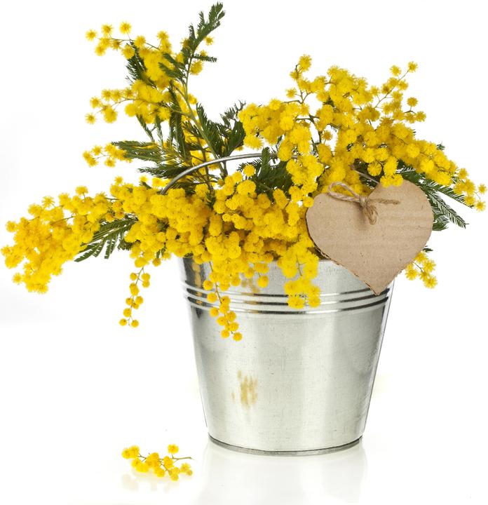 Produktbild Natura Punto Zinkeimer mit Deckel und Henkel, Fassungsvermögen 12 l (29.5 x 32 cm)