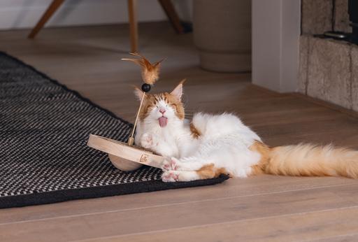 Actual product image Designed by Lotte Winni (Catmint toy)