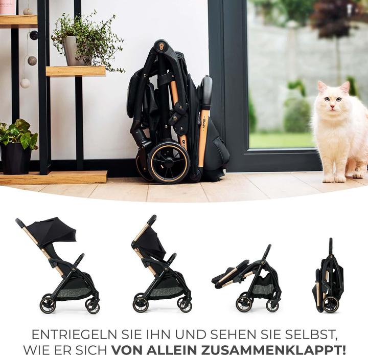 Actual product image KinderKraft Apino
