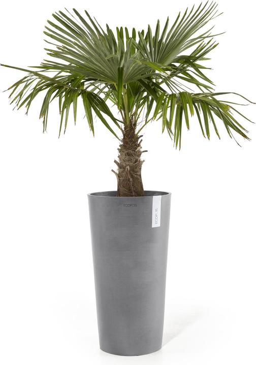 Actual product image Ecopots Amsterdam midhigh (66 cm)
