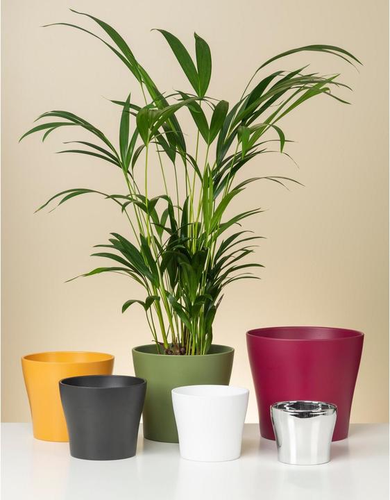 Produktbild Scheurich Blumentopf Weiss Ø 21 cm (21 cm)
