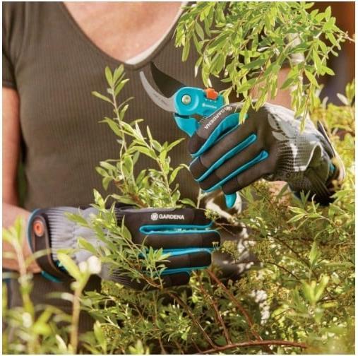 Actual product image Gardena Strauchpflegehandschuh (M)