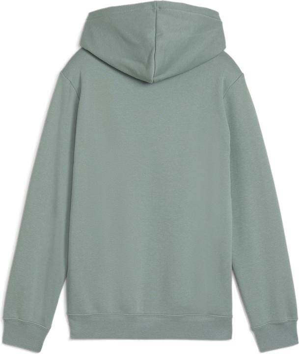 Actual product image Puma ESS No. 1 Logo Hoodie FL B (152)