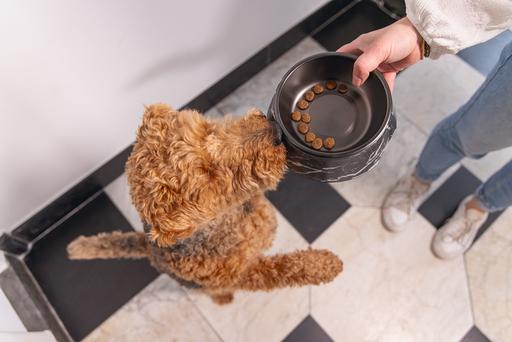 Actual product image Designed by Lotte Dog bowl Meis (0.35 l)