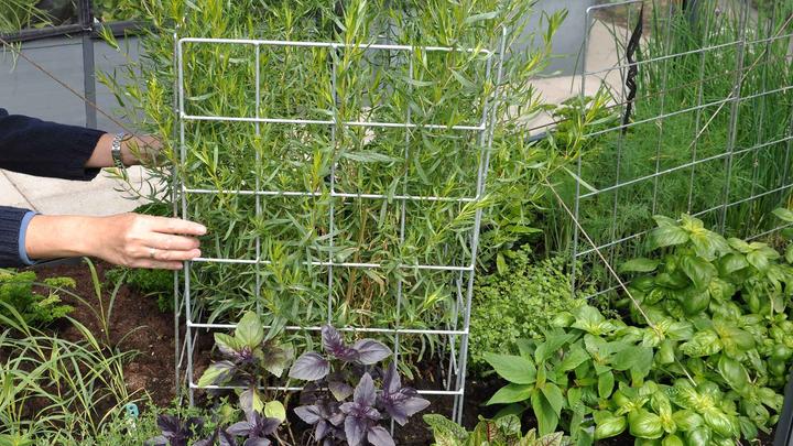 Actual product image GrowCamp Trellis for raised bed (40 cm, 1 cm)