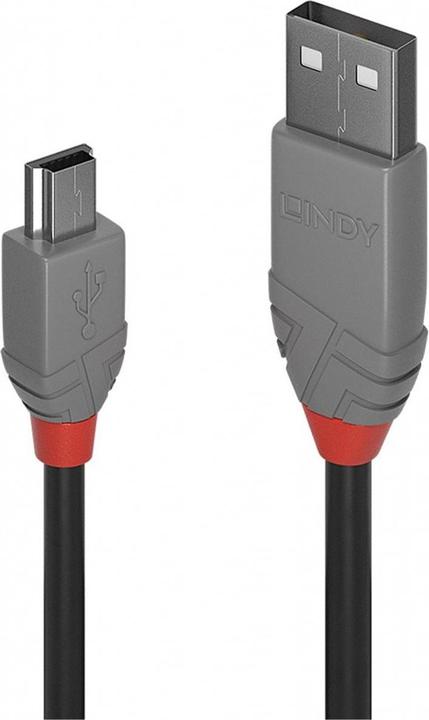 Actual product image Lindy USB A – USB Mini B (3 m, USB 2.0)