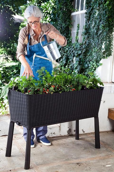 Immagine prodotto Keter Easy Growing