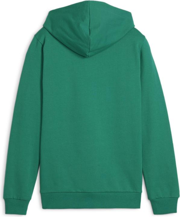 Actual product image Puma teamGOAL Casuals Hoody Jr (164)